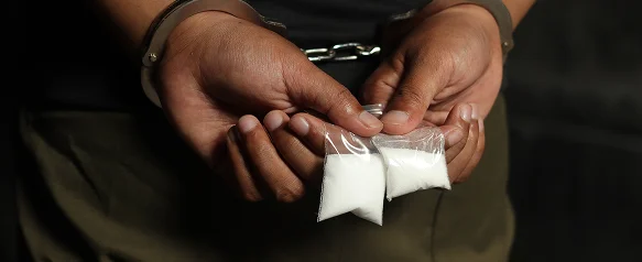 Drug Crimes